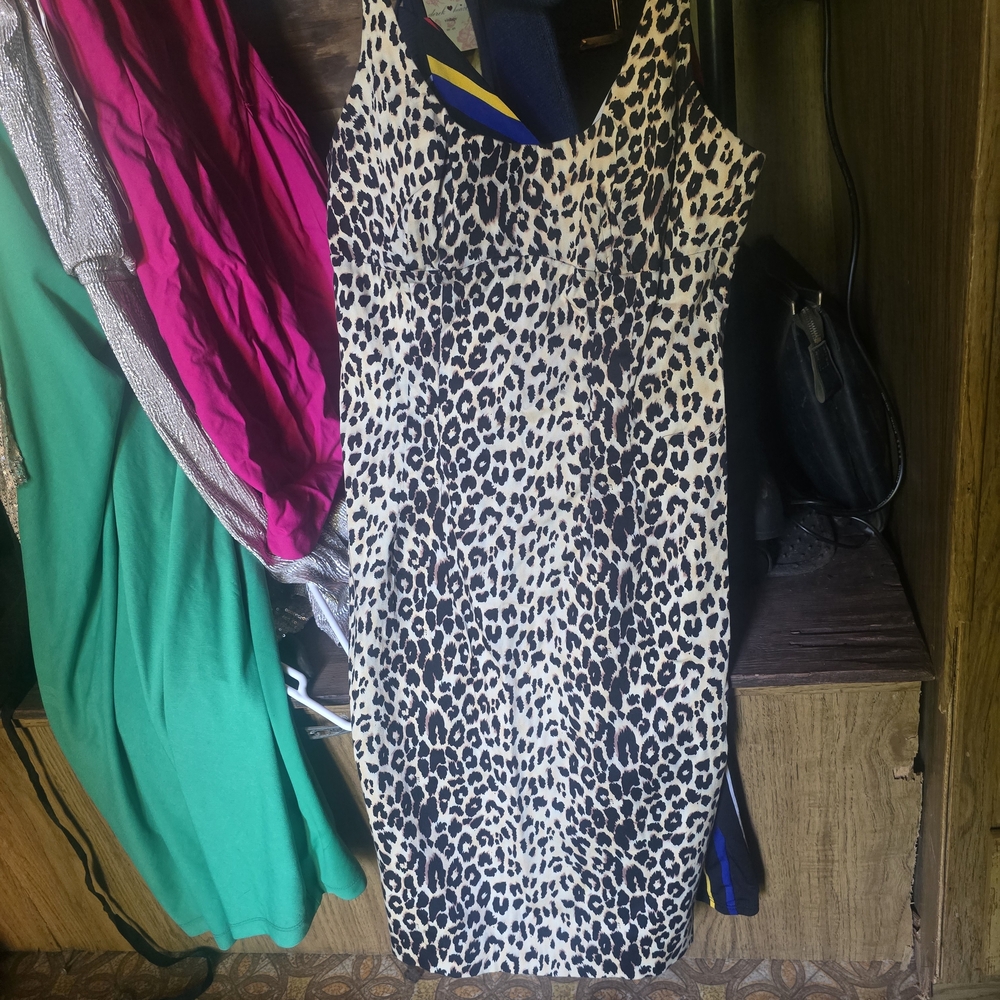 Leopard Print Sleeveless Dress